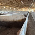 mantenimiento-instalaciones-cerdos