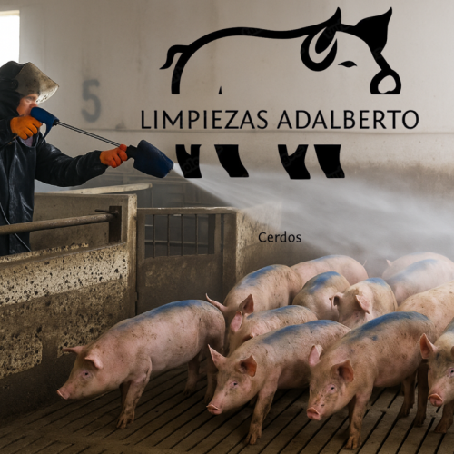 limpieza-adalberto-nuevo